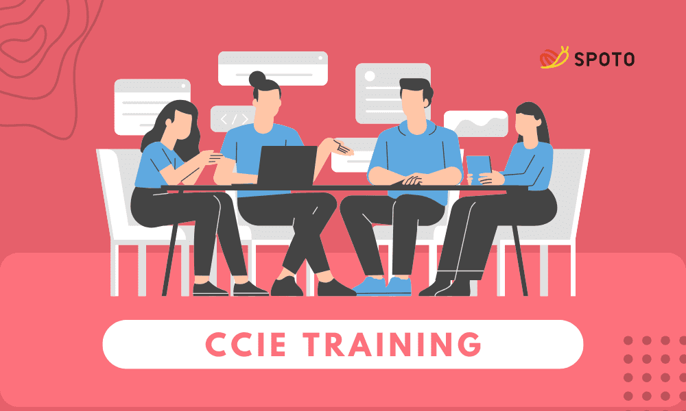 CCIE Training Institute